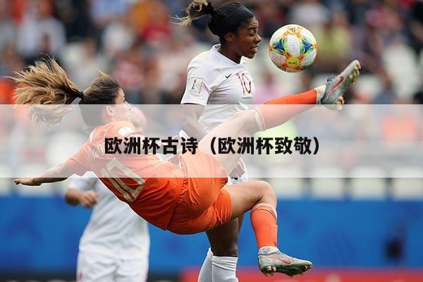 欧洲杯古诗（欧洲杯致敬）