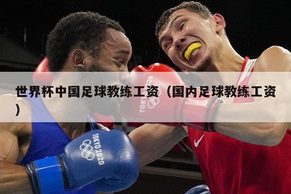 世界杯中国足球教练工资（国内足球教练工资）