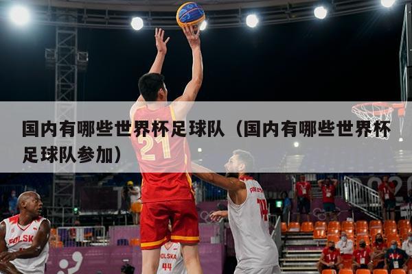国内有哪些世界杯足球队（国内有哪些世界杯足球队参加）